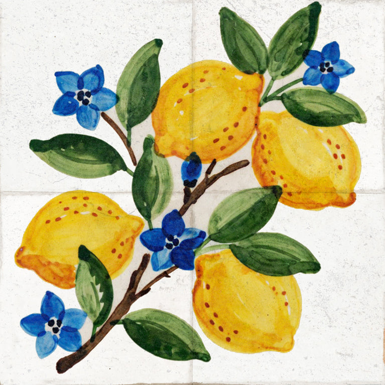 Mediterranean Lemon Backsplash Tile Stickers, Amalfi Coast Lemon Backsplash- L77