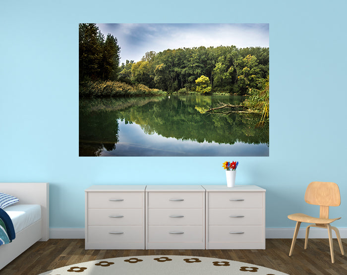 IMPRESSIVE WALL DECALS, REMOVABLE WALL STICKERS, WALL DECOR