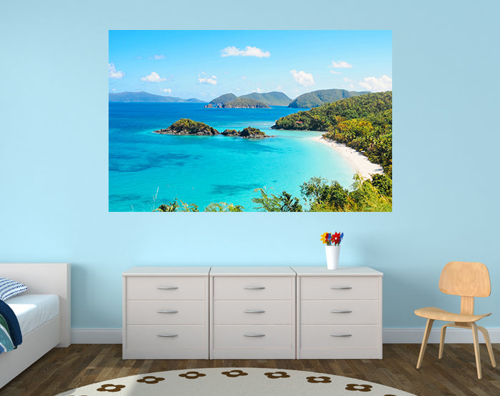 IMPRESSIVE WALL DECALS, REMOVABLE WALL STICKERS, WALL DECOR