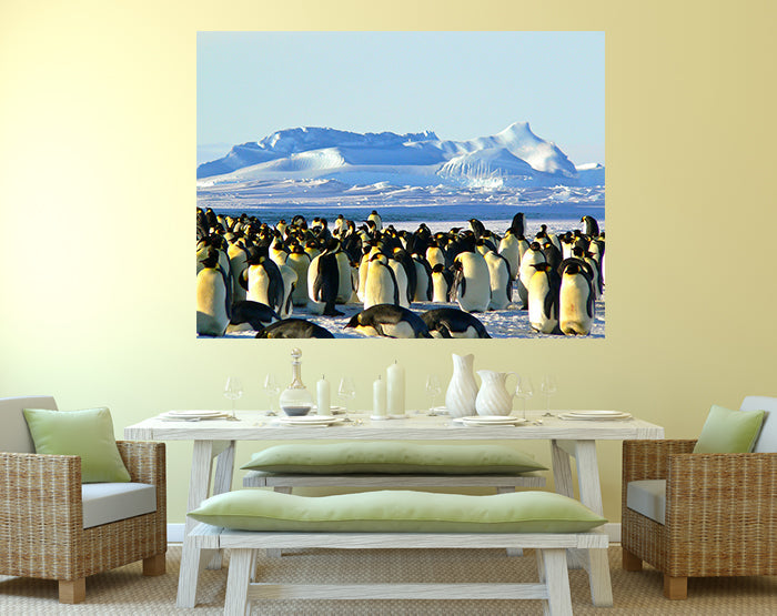 IMPRESSIVE WALL DECALS, REMOVABLE WALL STICKERS, WALL DECOR