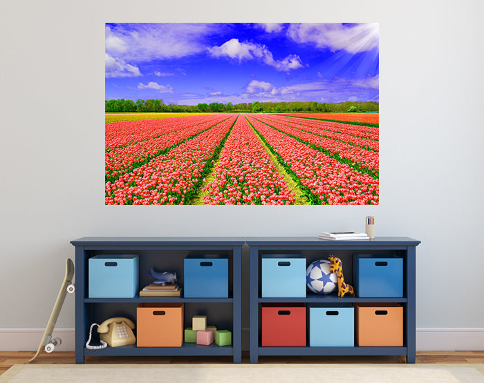 IMPRESSIVE WALL DECALS, REMOVABLE WALL STICKERS, WALL DECOR