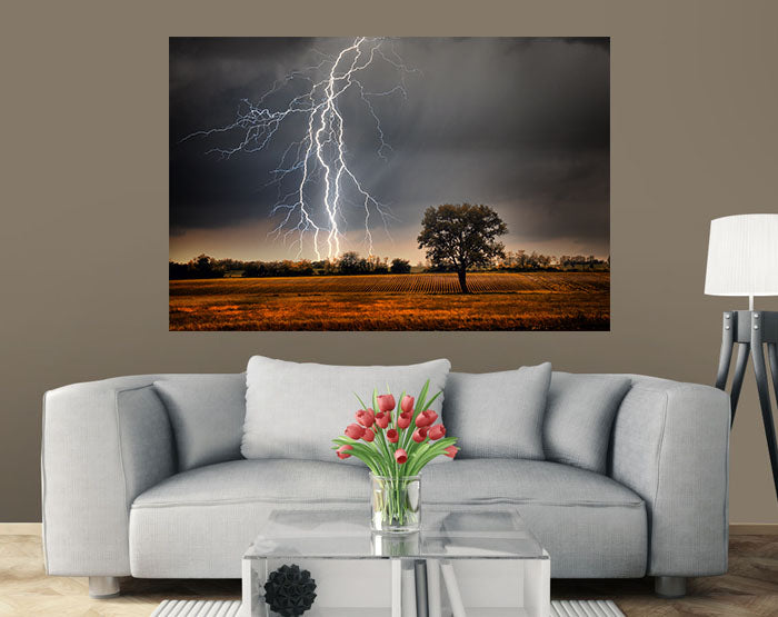 IMPRESSIVE WALL DECALS, REMOVABLE WALL STICKERS, WALL DECOR