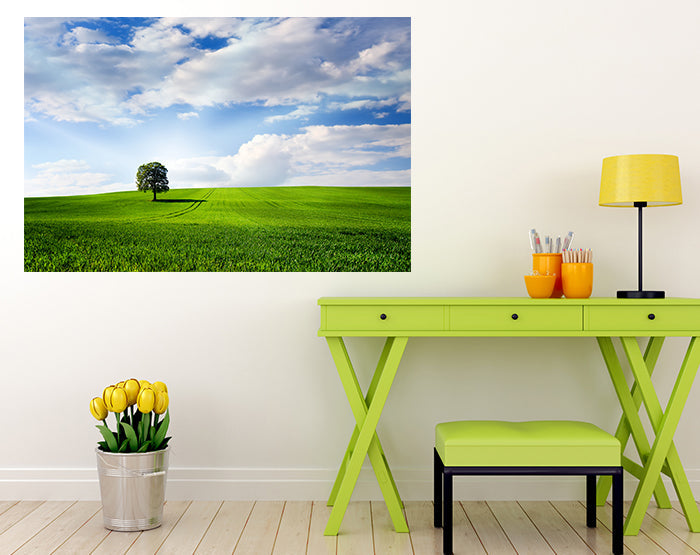 IMPRESSIVE WALL DECALS, REMOVABLE WALL STICKERS, WALL DECOR