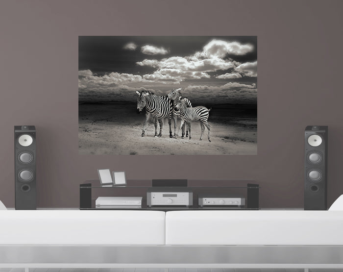 IMPRESSIVE WALL DECALS, REMOVABLE WALL STICKERS, WALL DECOR