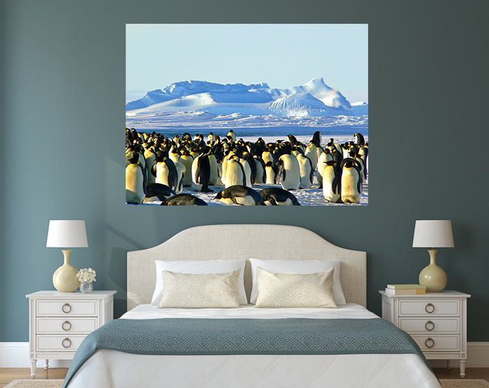 IMPRESSIVE WALL DECALS, REMOVABLE WALL STICKERS, WALL DECOR