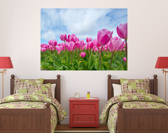 IMPRESSIVE WALL DECALS, REMOVABLE WALL STICKERS, WALL DECOR