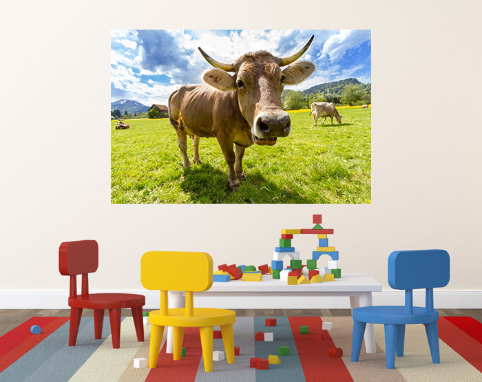 IMPRESSIVE WALL DECALS, REMOVABLE WALL STICKERS, WALL DECOR