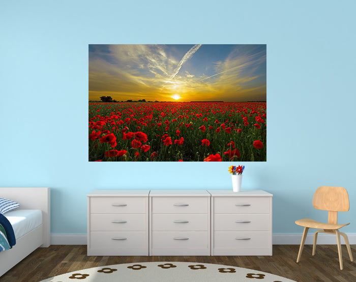 IMPRESSIVE WALL DECALS, REMOVABLE WALL STICKERS, WALL DECOR