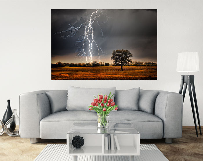 IMPRESSIVE WALL DECALS, REMOVABLE WALL STICKERS, WALL DECOR