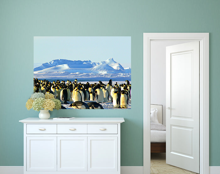 IMPRESSIVE WALL DECALS, REMOVABLE WALL STICKERS, WALL DECOR