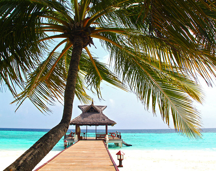 IMPRESSIVE WALL DECALS, REMOVABLE WALL STICKERS, WALL DECOR