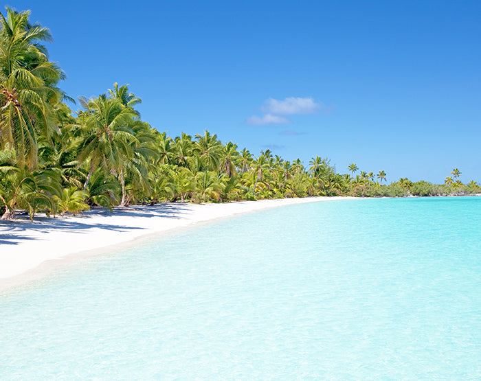 IMPRESSIVE WALL DECALS, REMOVABLE WALL STICKERS, WALL DECOR