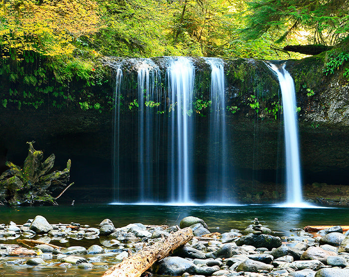 IMPRESSIVE WALL DECALS, REMOVABLE WALL STICKERS, WALL DECOR