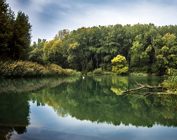 IMPRESSIVE WALL DECALS, REMOVABLE WALL STICKERS, WALL DECOR