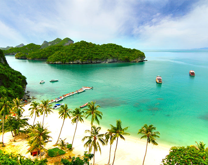 IMPRESSIVE WALL DECALS, REMOVABLE WALL STICKERS, WALL DECOR