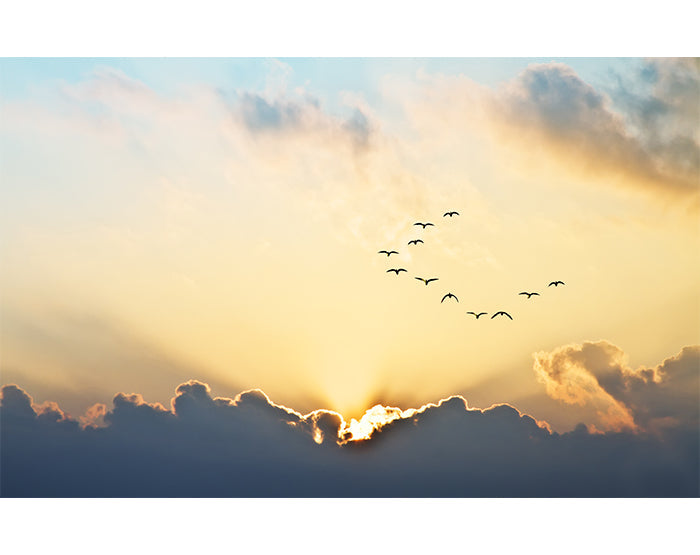 IMPRESSIVE WALL DECALS, REMOVABLE WALL STICKERS, WALL DECOR