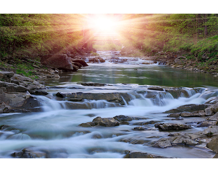 IMPRESSIVE WALL DECALS, REMOVABLE WALL STICKERS, WALL DECOR