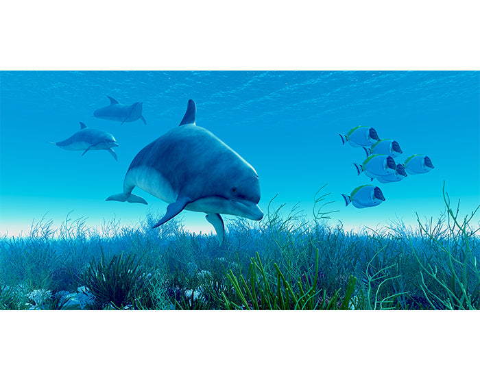 IMPRESSIVE WALL DECALS, REMOVABLE WALL STICKERS, WALL DECOR