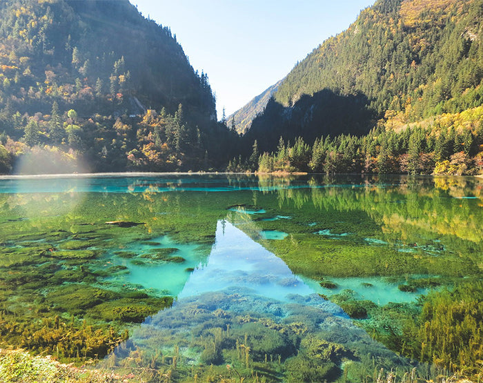 IMPRESSIVE WALL DECALS, REMOVABLE WALL STICKERS, WALL DECOR