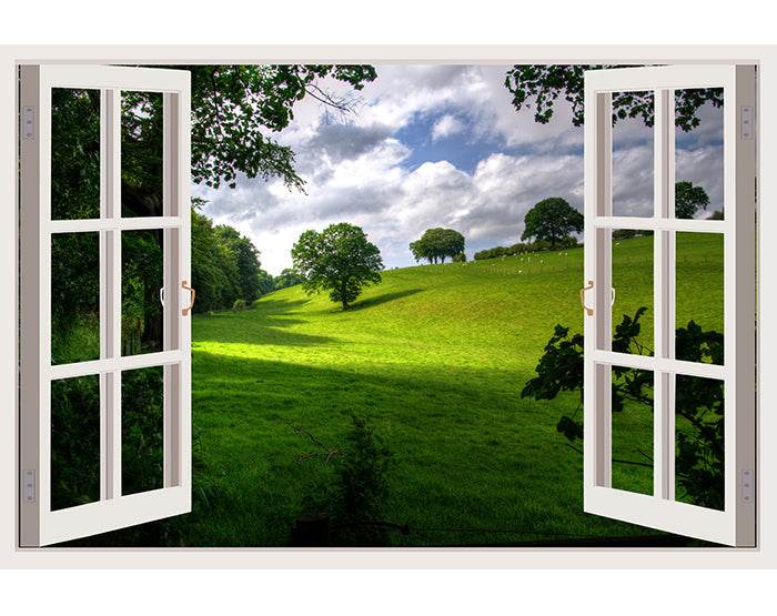IMPRESSIVE 3D WINDOW WALL DECALS, REMOVABLE WALL STICKERS, WALL DECOR