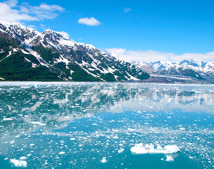 IMPRESSIVE WALL DECALS, REMOVABLE WALL STICKERS, WALL DECOR