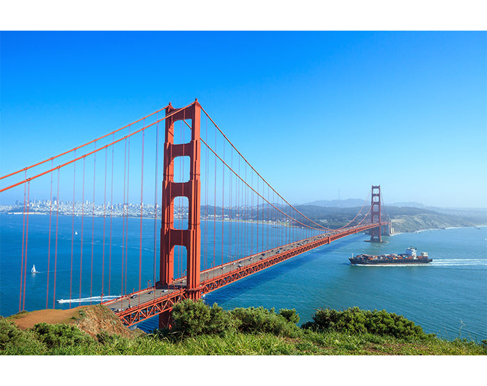 IMPRESSIVE WALL DECALS, REMOVABLE WALL STICKERS, WALL DECOR