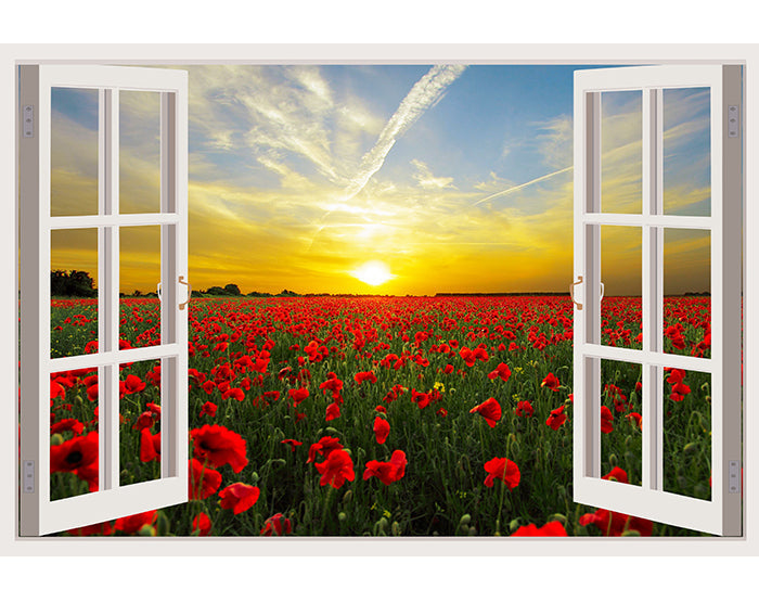 IMPRESSIVE 3D WINDOW WALL DECALS, REMOVABLE WALL STICKERS, WALL DECOR