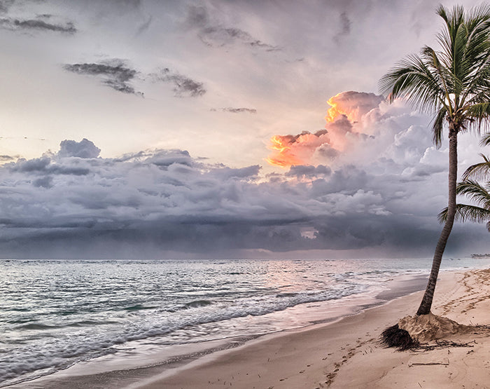 IMPRESSIVE WALL DECALS, REMOVABLE WALL STICKERS, WALL DECOR