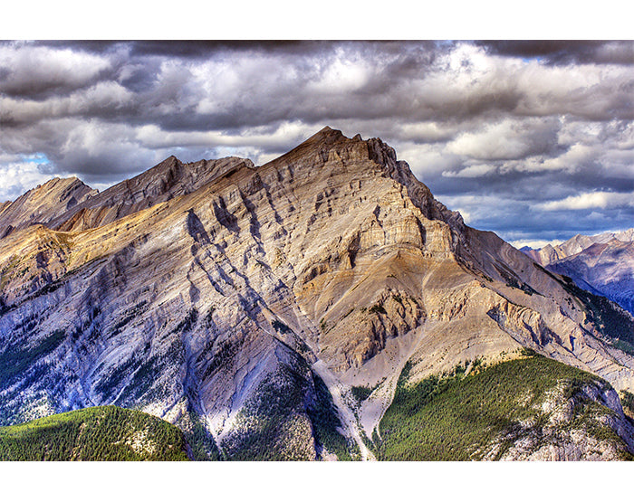 IMPRESSIVE WALL DECALS, REMOVABLE WALL STICKERS, WALL DECOR