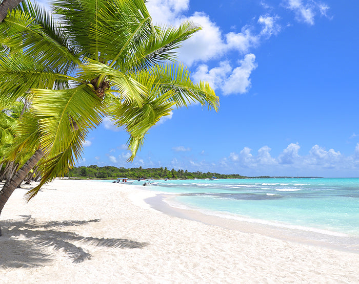 IMPRESSIVE WALL DECALS, REMOVABLE WALL STICKERS, WALL DECOR