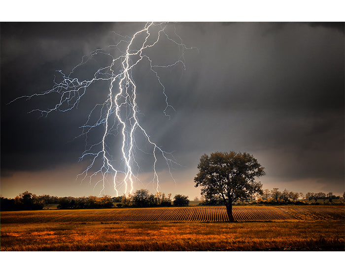 IMPRESSIVE WALL DECALS, REMOVABLE WALL STICKERS, WALL DECOR