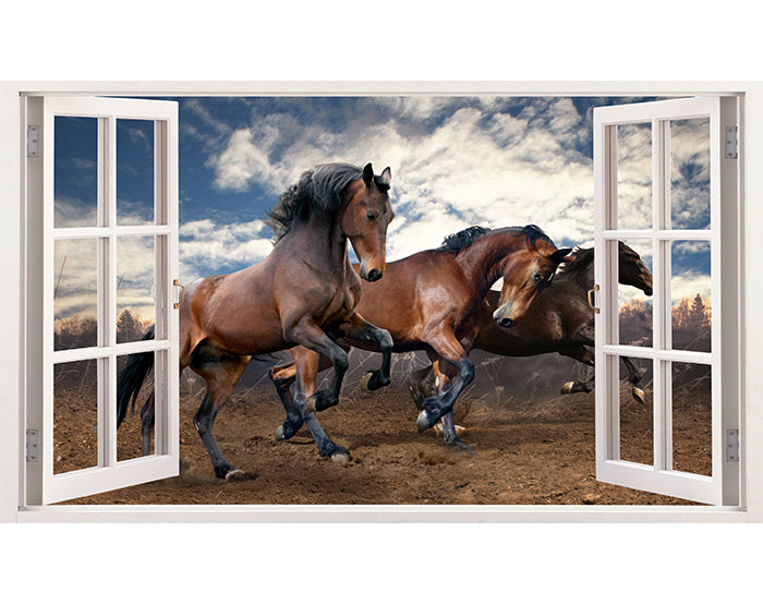 IMPRESSIVE 3D WINDOW WALL DECALS, REMOVABLE WALL STICKERS, WALL DECOR