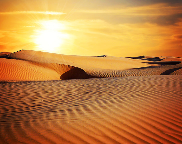 IMPRESSIVE WALL DECALS, REMOVABLE WALL STICKERS, WALL DECOR