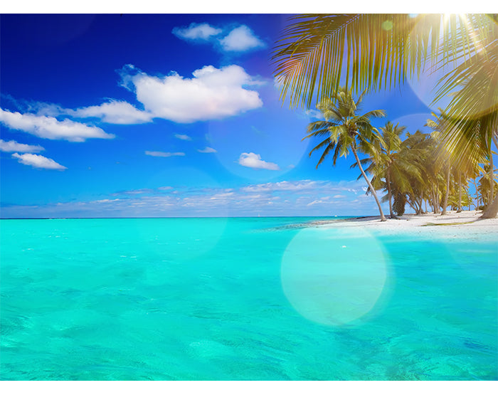 IMPRESSIVE WALL DECALS, REMOVABLE WALL STICKERS, WALL DECOR