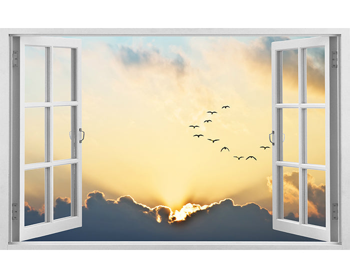 IMPRESSIVE 3D WINDOW WALL DECALS, REMOVABLE WALL STICKERS, WALL DECOR