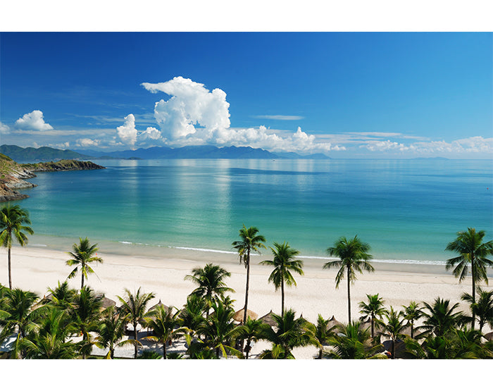 IMPRESSIVE WALL DECALS, REMOVABLE WALL STICKERS, WALL DECOR