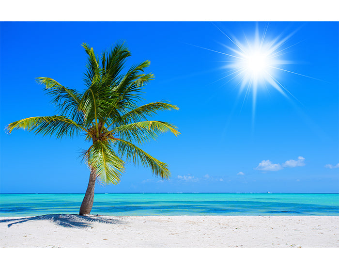 IMPRESSIVE WALL DECALS, REMOVABLE WALL STICKERS, WALL DECOR