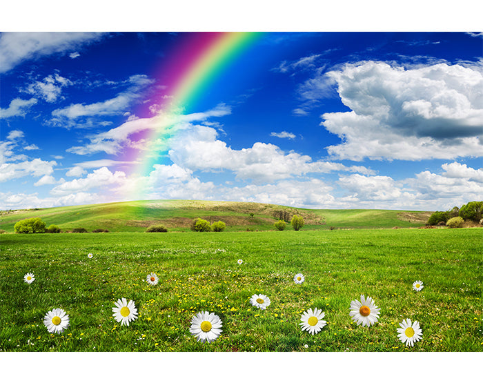 IMPRESSIVE WALL DECALS, REMOVABLE WALL STICKERS, WALL DECOR