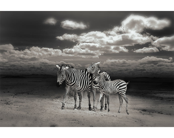 IMPRESSIVE WALL DECALS, REMOVABLE WALL STICKERS, WALL DECOR