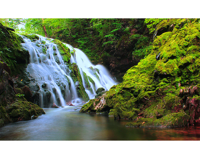 IMPRESSIVE WALL DECALS, REMOVABLE WALL STICKERS, WALL DECOR