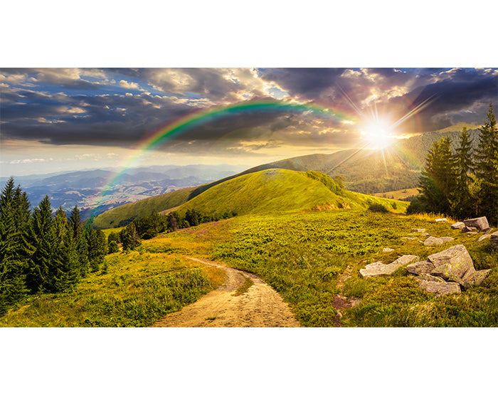 IMPRESSIVE WALL DECALS, REMOVABLE WALL STICKERS, WALL DECOR