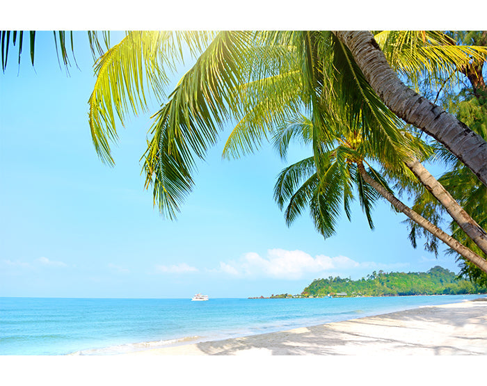 IMPRESSIVE WALL DECALS, REMOVABLE WALL STICKERS, WALL DECOR