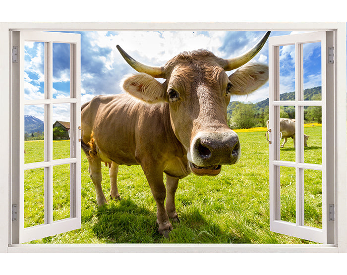 IMPRESSIVE 3D WINDOW WALL DECALS, REMOVABLE WALL STICKERS, WALL DECOR