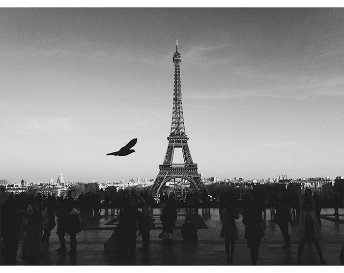 IMPRESSIVE WALL DECALS, REMOVABLE WALL STICKERS, WALL DECOR