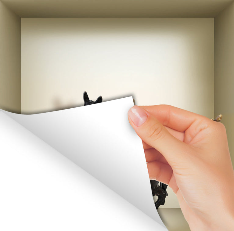 3D Niche Wall Art Decals - Set Of 3 | Easy To Apply, Stunning Decorative Stickers For Home And Office