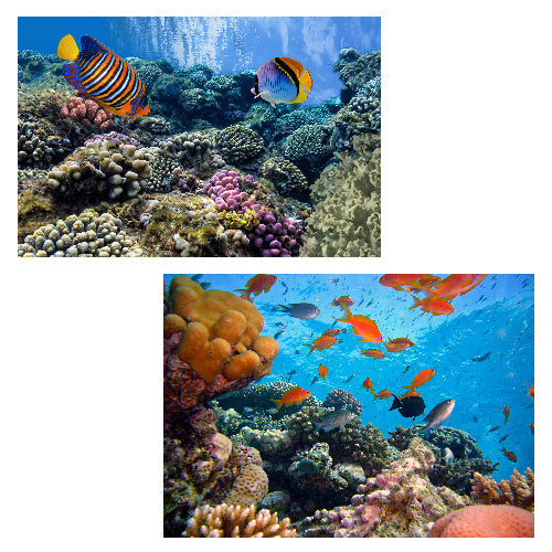 SET OF 2 WALL DECALS, REMOVABLE WALL STICKERS, WALL DECOR