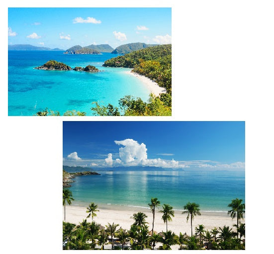 SET OF 2 WALL DECALS, REMOVABLE WALL STICKERS, WALL DECOR