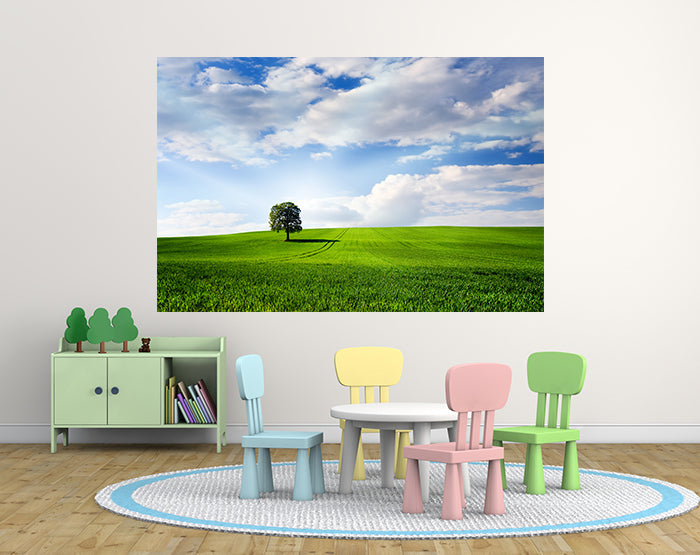 IMPRESSIVE WALL DECALS, REMOVABLE WALL STICKERS, WALL DECOR